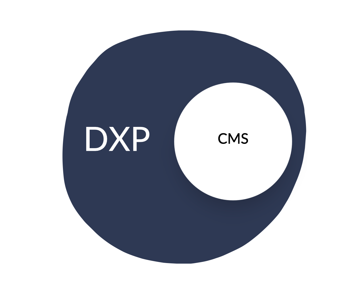 Simple illustration showing the overlap and difference in meaning between DXP and CMS