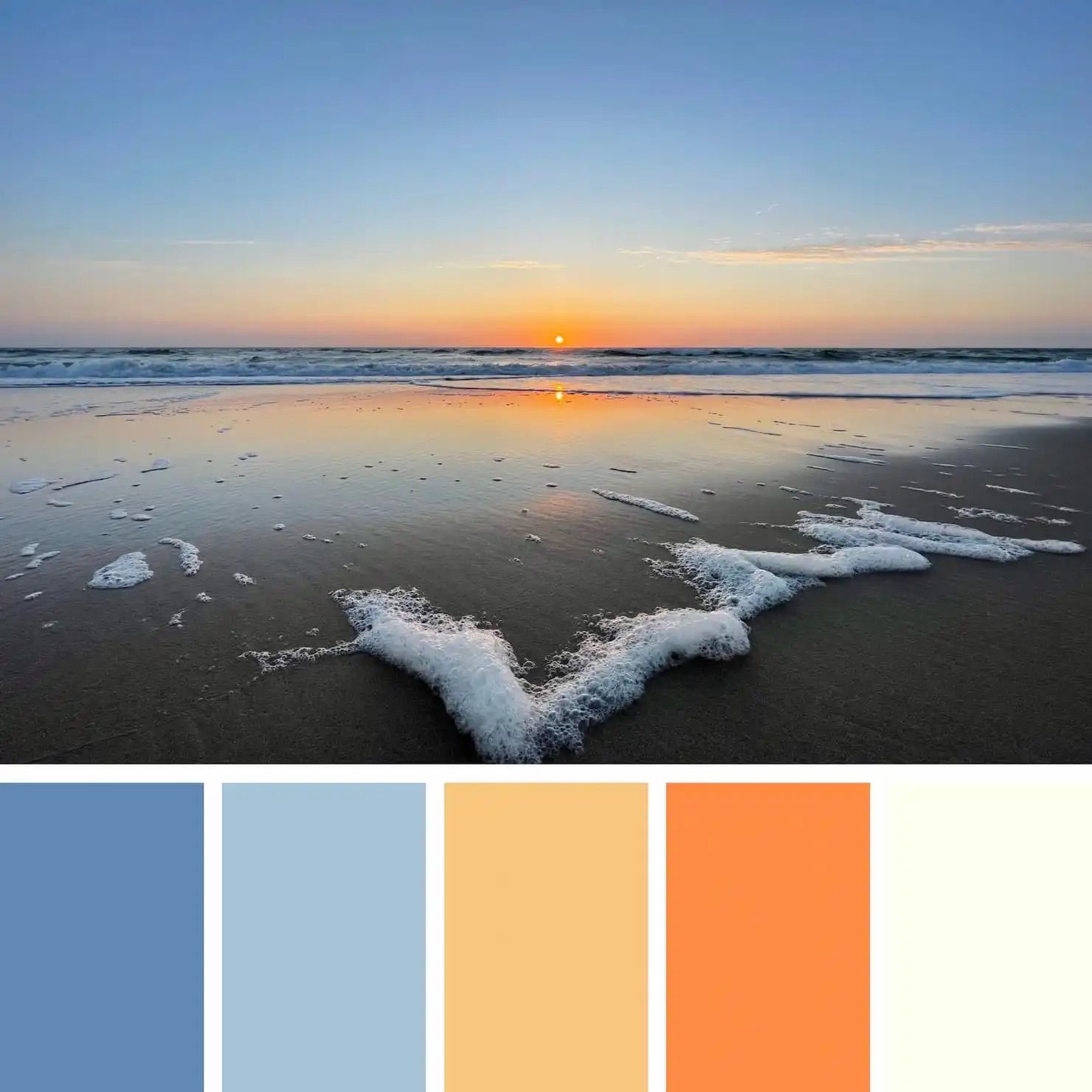 Coolors colour palettes in a snap