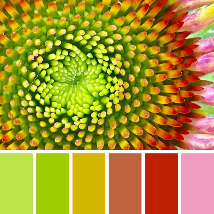 Structured patterns of colors to symbolize the idea of structured content. 